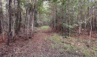 Lower Bay Road, Bay St. Louis, MS 39520