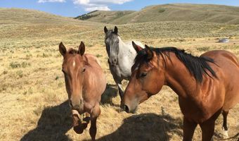 1000 SMITHS FORK Rd, Cokeville, WY 83114