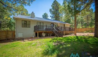 151 Alto Pines Trl, Alto, NM 88312
