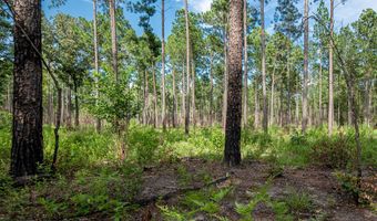 221 Ac Crestview Rd, Arlington, GA 39813
