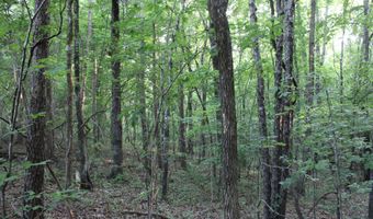 999 Whites Crossing Rd, Ashland, MS 38603