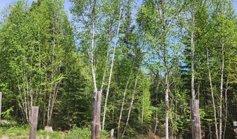 13376 Bug Creek Rd, Bigfork, MT 59911