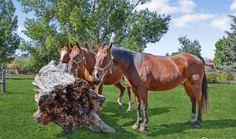 1884 Chaparro Cir, Berthoud, CO 80513