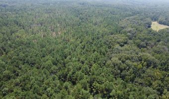 2 Champion Hill Rd, Bolton, MS 39041