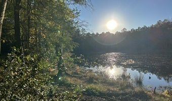 2423 Mill Creek Rd, Bethune, SC 29009