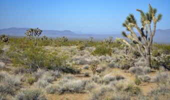 2641 S Javalina Rd, Yucca, AZ 86438