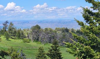 Blacktooth Road lot 12, Big Horn, WY 82833