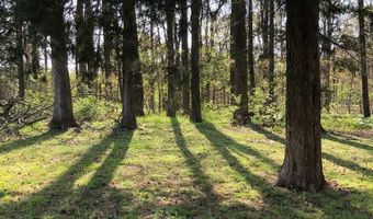 14 Oak Acres Rd, Batesville, MS 38606