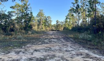 Pisgah Court, Alford, FL 32420