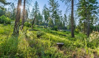 24 Bridle Ct, Bigfork, MT 59911