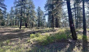 782 Hawks Meadow Dr, Bayfield, CO 81122