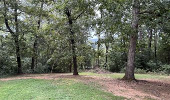 1225 Rush Chapel, Adairsville, GA 30103