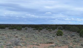 32 N8544 398, Concho, AZ 85924