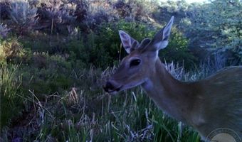 Takota Lane lot Bvr 930-25, Belfry, MT 59008