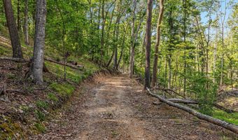 417 MALLARD Dr, Basye, VA 22810