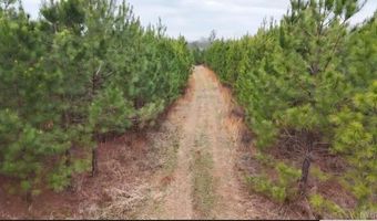 Old Courthouse Road, Appomattox, VA 24522