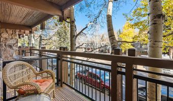 131 E Durant Ave 202, Aspen, CO 81611