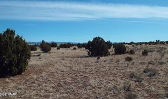 Parcel 107-52-046, Concho, AZ 85924