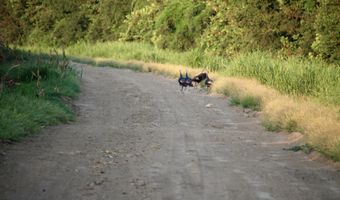 Bolivar Road, Benoit, MS 38725