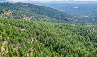 NNA USFS 2550 40 acres, Blanchard, ID 83804