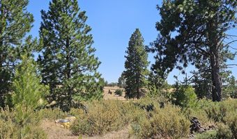 67 TIMBER Ln, Bickleton, WA 99322