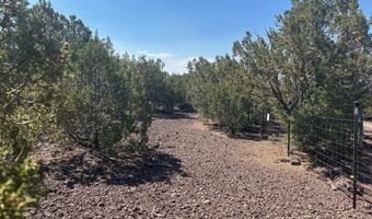 Lot 11 Uphill Trail 11, Vernon, AZ 85940