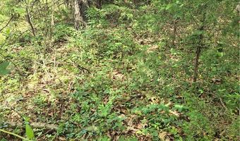 Witherby Drive lot 1, Bella Vista, AR 72714