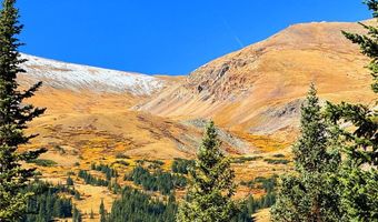 868 NUTHATCH Dr, Alma, CO 80420