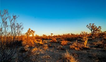 2641 S Javelina Rd, Yucca, AZ 86438