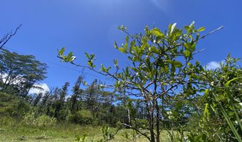 15-1719 13TH Ave, Keaau, HI 96749