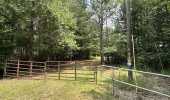 3462 Old Jackson Rd, Forest, MS 39074