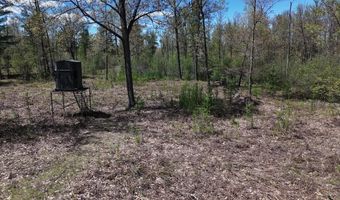 La Grant Road, Alger, MI 48610
