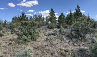 HWY 140 300, Beatty, OR 97621