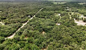 2963 SW Armadillo Trl, Arcadia, FL 34266