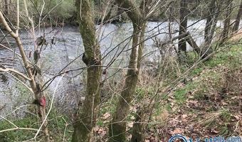 6777 Hwy 207, Anderson, AL 35610