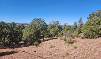 Tbd State Route 260, Clay Springs, AZ 85923