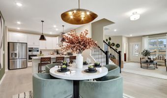 2317 Field Poppy Dr Plan: Lily - End Home, Apex, NC 27502