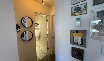 927 VINE St, Aspen, CO 81611