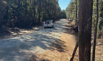 32477 Chapel Pine Drive Lot Cdt3, Albany, LA 70711