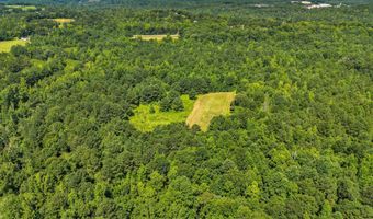 Alabama HWY 259, Alexander City, AL 35010