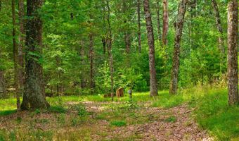 1813 Badger Court Lot 37 38, Arkdale, WI 54613