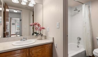 100 Midland Ave 106, Basalt, CO 81621