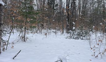 9606 MUNGER Rd, Afton, MI 49705