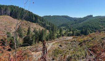 Van Horn 140 Rd, Alsea, OR 97324