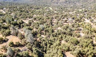41902 Woodward Way, Ahwahnee, CA 93601