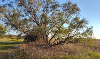 5428 CR 364, Anson, TX 79501