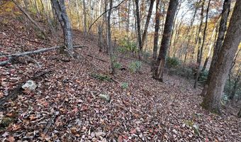 Musket Dr lot 66, Almond, NC 28702