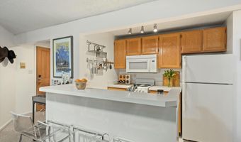 119 E Cooper Ave #5, Aspen, CO 81611