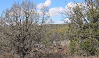 5079 N Pineveta Rd, Ash Fork, AZ 86320