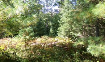 V/L 30AC Lake Winyah Road, Alpena, MI 49707